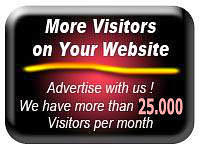 More Visitors on your Website 