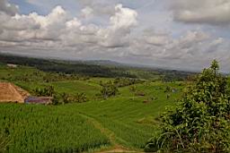 NatureBali_4370.JPG