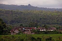 NatureBali_4380.JPG