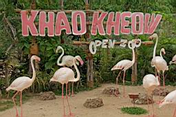 KhaoKheowOpenZoo_7170.JPG