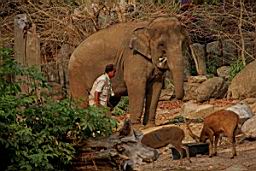 KhaoKheowOpenZoo_7195.JPG