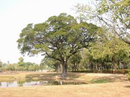 Img_5820HistoricalParkSukothai.jpg