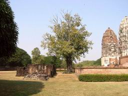 Img_5823HistoricalParkSukothai.jpg