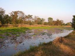 Img_5853HistoricalParkSukothai.jpg