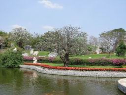 Img_1233PicturesCrocodileFarm.jpg