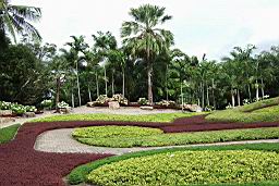 DSCF2346NongNoochTropicalGarden.jpg