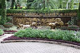 DSCF2361NongNoochTropicalGarden.jpg