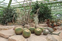 DSCF2390NongNoochTropicalGarden.jpg