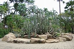 DSCF2397NongNoochTropicalGarden.jpg