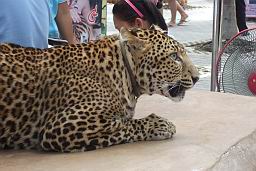 DSCF3760.JPG