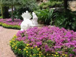 Img_2495NongNoochTropicalGarden.jpg