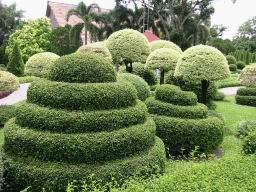 Img_2499NongNoochTropicalGarden.jpg
