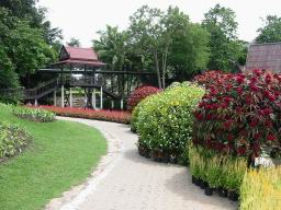 Img_2511NongNoochTropicalGarden.jpg