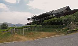 HuaHinVineYard_0820.JPG