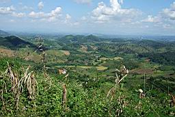 DSCF2750.JPG