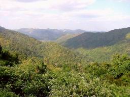 Img_5464-d.jpg