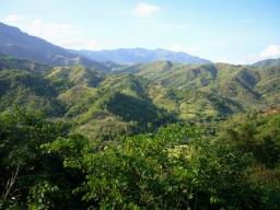 P1000950NatureThailandPictures.jpg