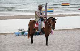 thai man on a horse