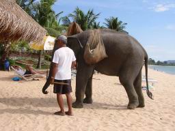 ThailandPeople5130.jpg