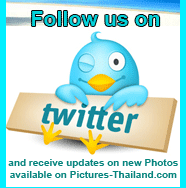 Follow Pictures Thailand on Twitter